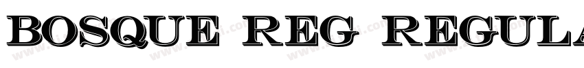 Bosque Reg Regular字体转换